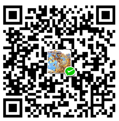  WeChat Pay